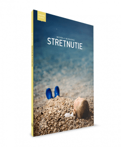 stretnutie-vizualizc3a1cia-web-246x300-9522875