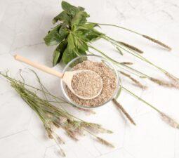 psyllium